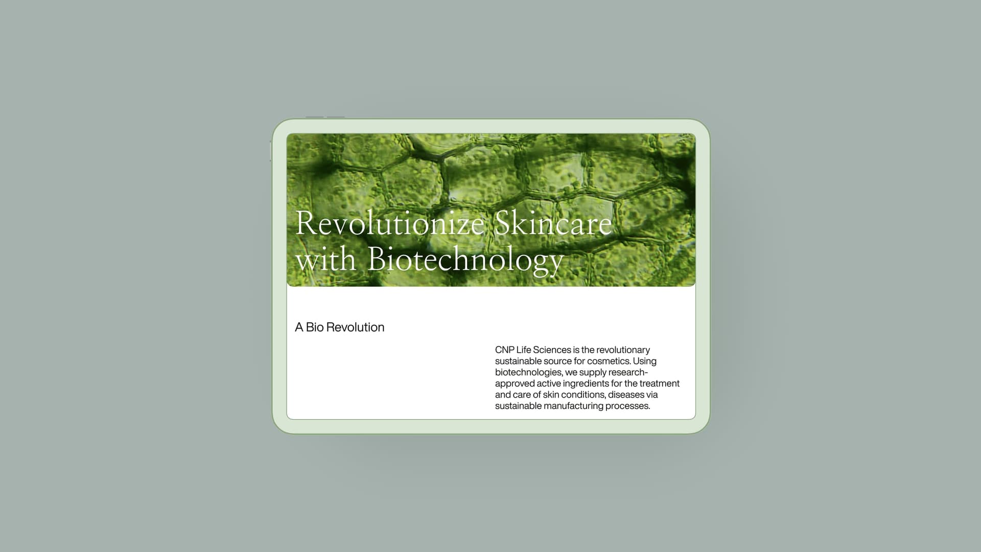 Selected Work CNP LiFE SCiENCE
